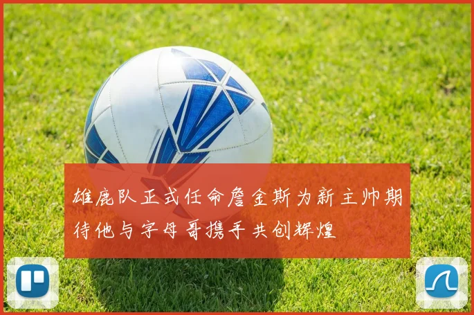 雄鹿队正式任命詹金斯为新主帅期待他与字母哥携手共创辉煌