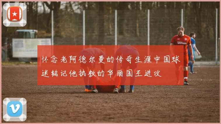 怀念老阿德尔曼的传奇生涯中国球迷铭记他执教的华丽国王进攻